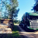 Tiber hauler services